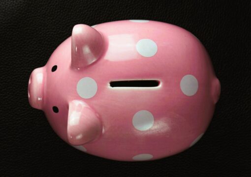 piggy bank
