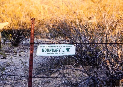 Boundary line fence