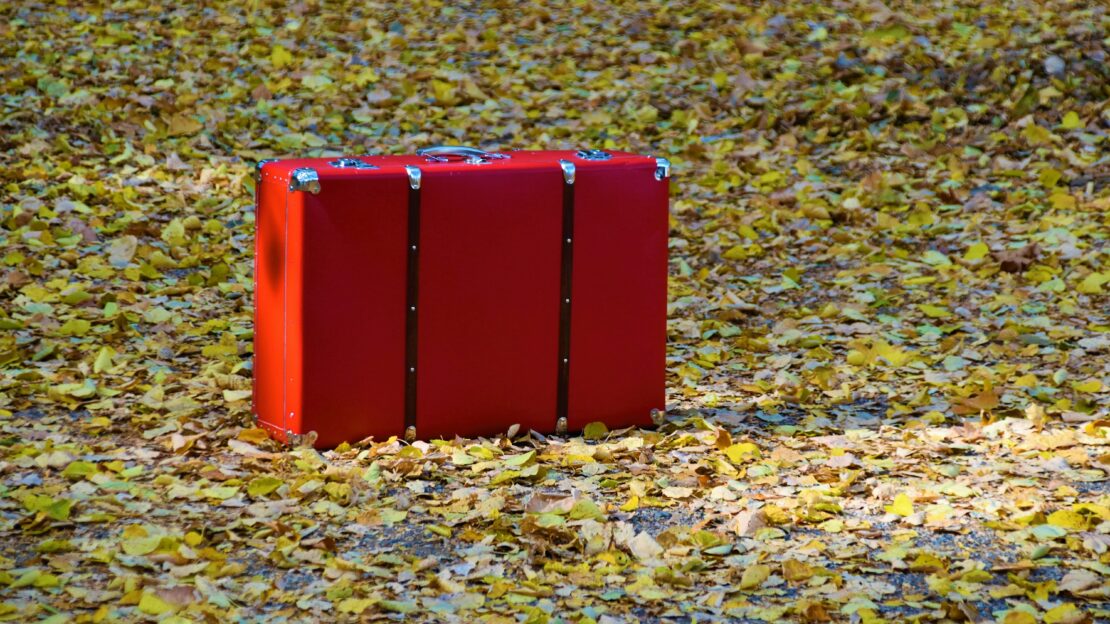 Red briefcase and Autumn leaves