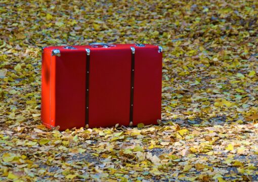Red briefcase and Autumn leaves