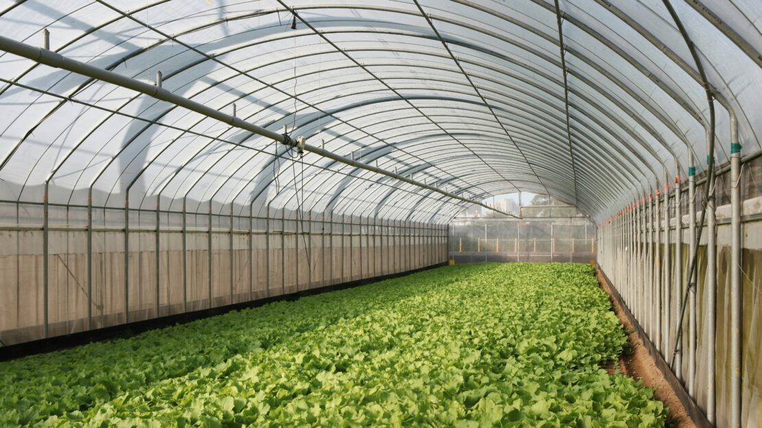 Greenhouse